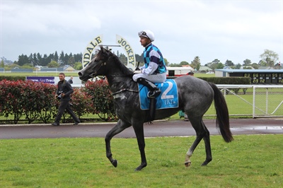 THE SOULTAKER STEPS UP IN THE MURDOCH NEWELL STAKES 2 YEAR OLD OVER 1100M 